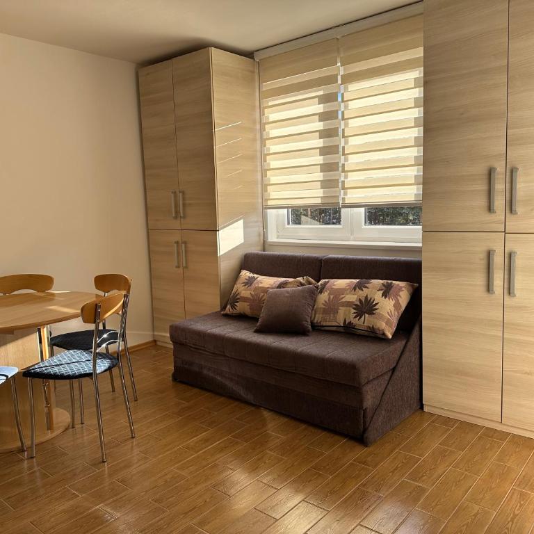 Apartman Divčibarko - Apartman sa 1 Spavaćom Sobom - 9