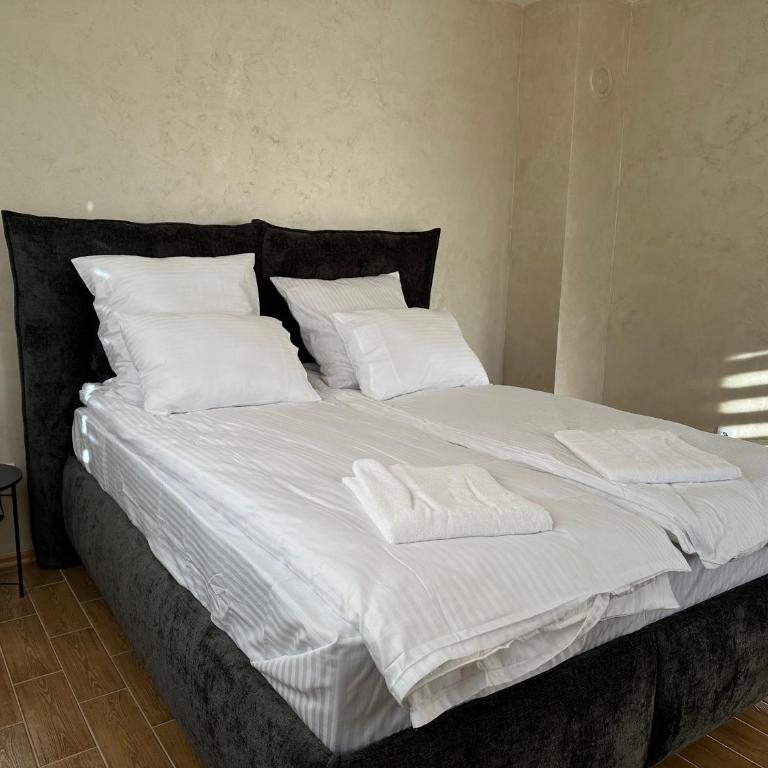 Apartman Divčibarko - Apartman sa 1 Spavaćom Sobom - 14