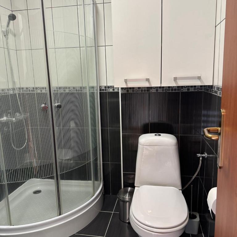Apartman Divčibarko - Apartman sa 1 Spavaćom Sobom - 16