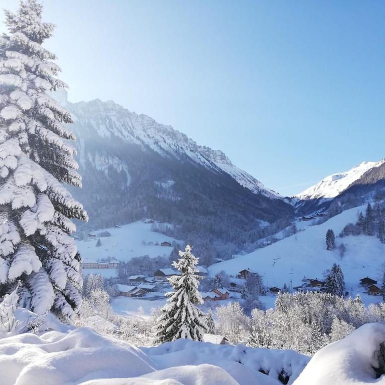 Chalet Paolina proche le Grand Bornand et la Clusaz - Chalet Supérieur - 10