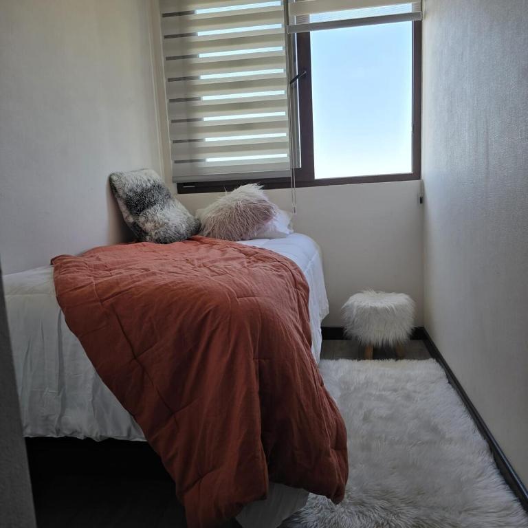Department overlooking the Sea and Bosque de Montemar - Apartamento de 1 dormitorio - 18