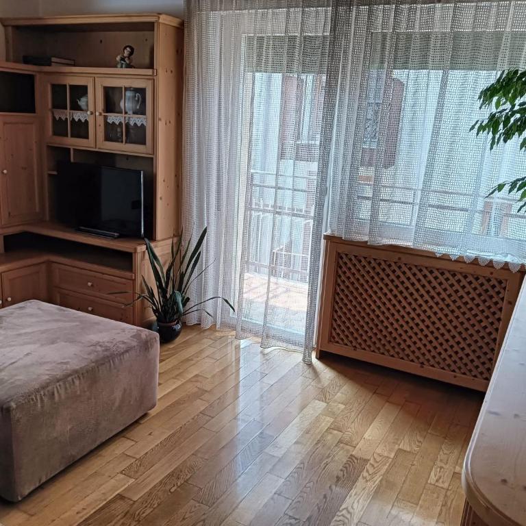 Casa Trettel - Apartment with Mountain View - 2