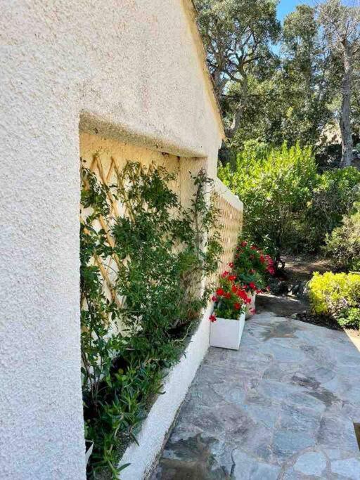 Piana - Three-Bedroom House - 11