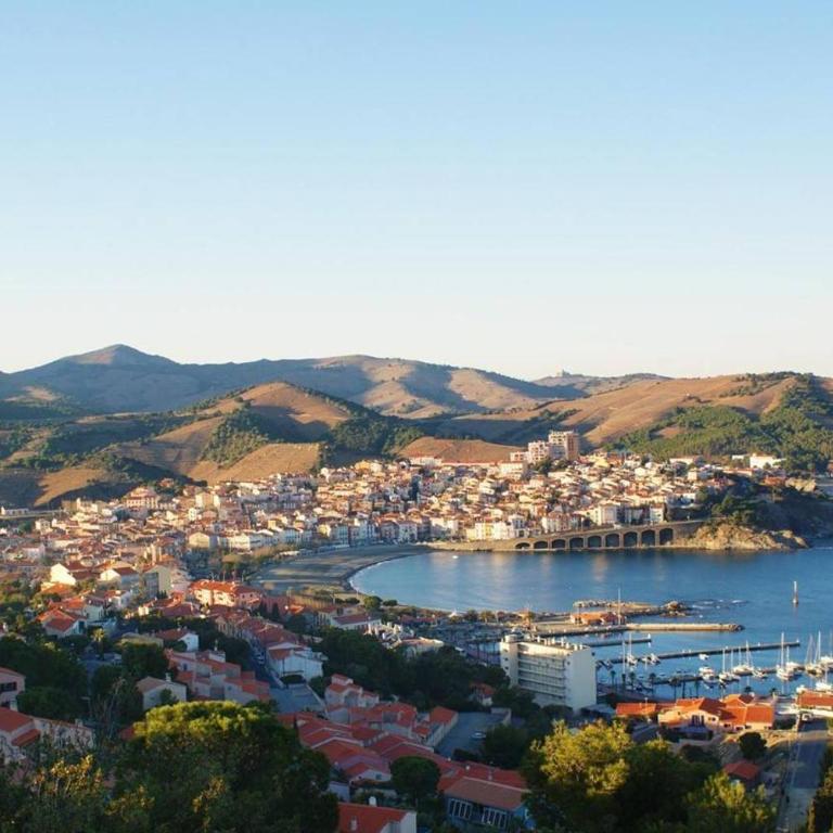 Appartement 2 pièces BANYULS SUR MER BN100-331D - One-Bedroom Apartment - 9