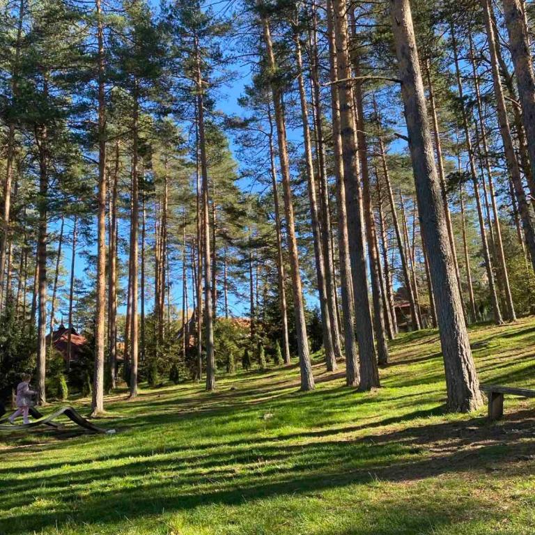 Apartman Snovi - uživanje u prirodi - Apartman sa 2 Spavaće Sobe - 14