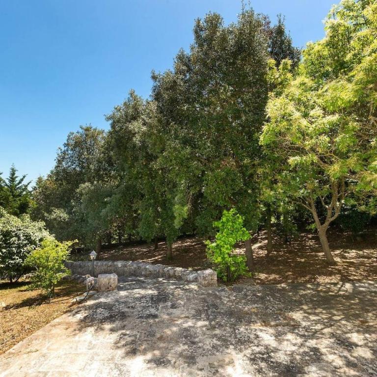 La Masciara, villa in Puglia - Four-Bedroom House - 37