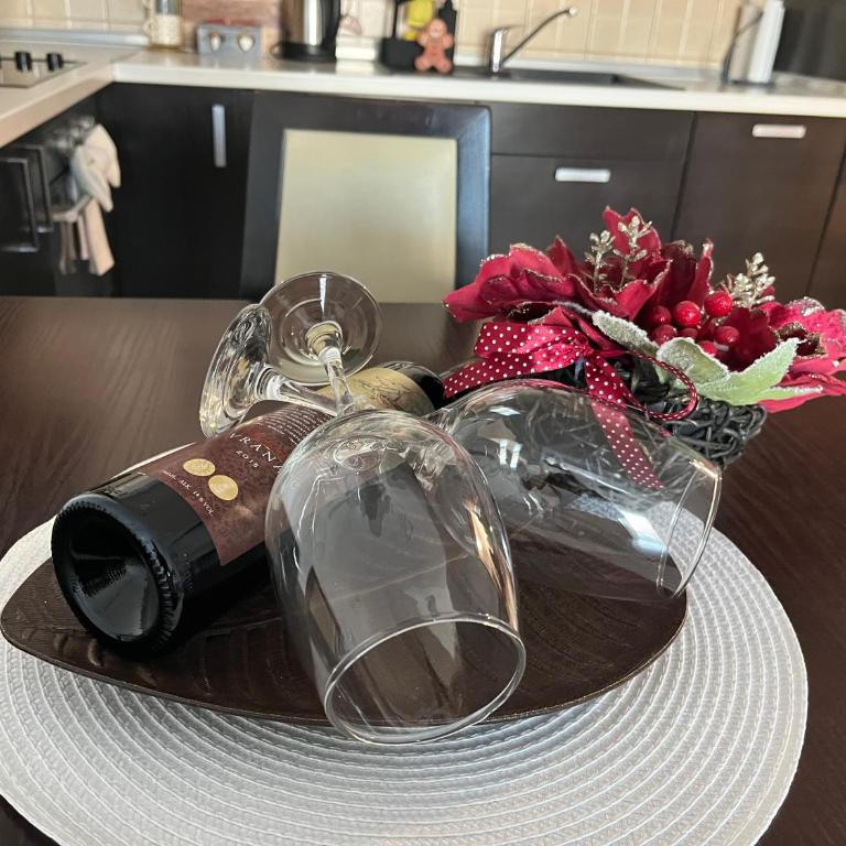 Apartman KIKA - Apartman sa 1 Spavaćom Sobom - 13