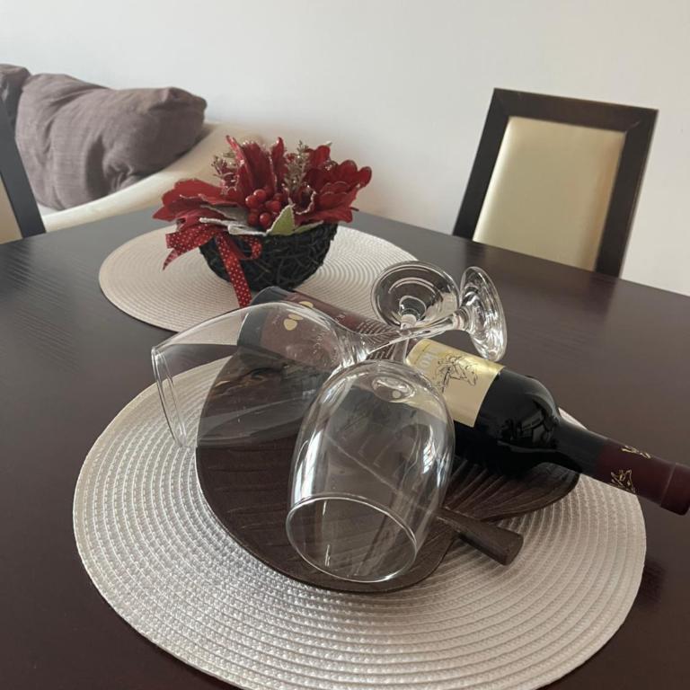 Apartman KIKA - Apartman sa 1 Spavaćom Sobom - 14