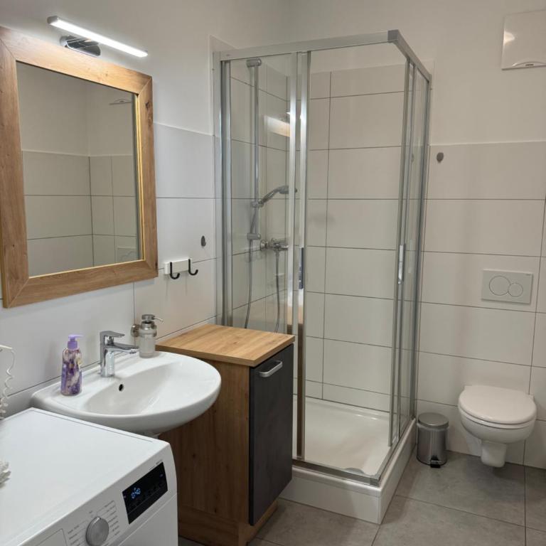 Lungau Living Appartements - Penthouse - Monolocale con Balcone - 7