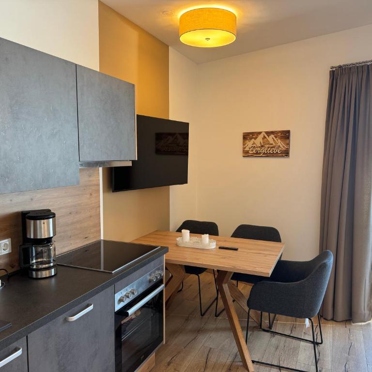 Lungau Living Appartements - Penthouse - Monolocale con Balcone - 4