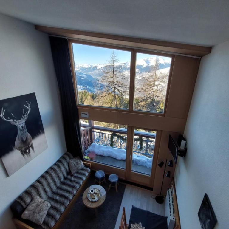 RESIDENCE LE RUITOR Duplex dernier étage vue panoramique classé 4 Cristaux Paradiski Piscine privée chauffée en ETE - Appartement en Duplex - 8