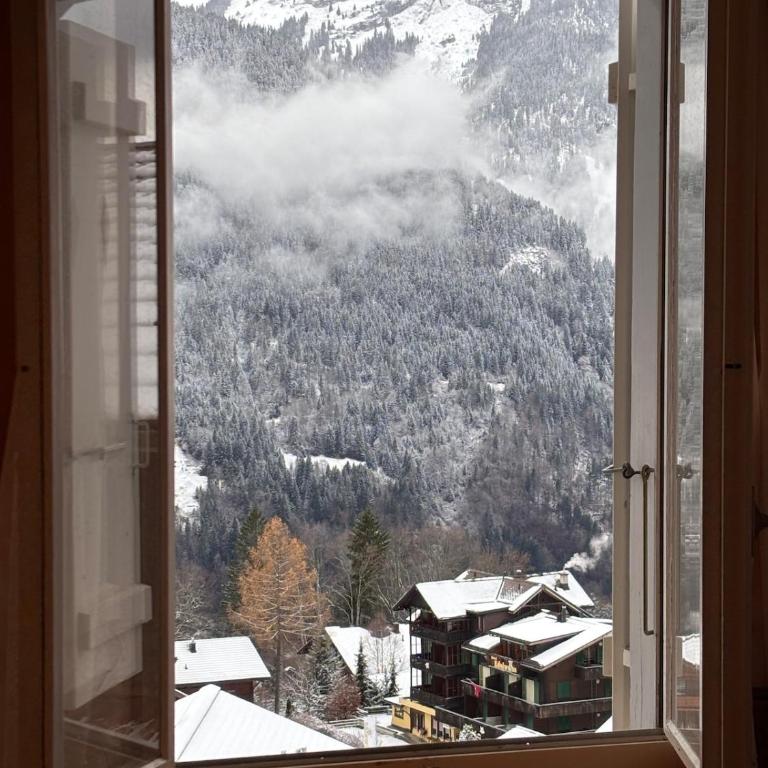 Appartement Wengen - Charme Alpin - Apartment mit 3 Schlafzimmern - 35