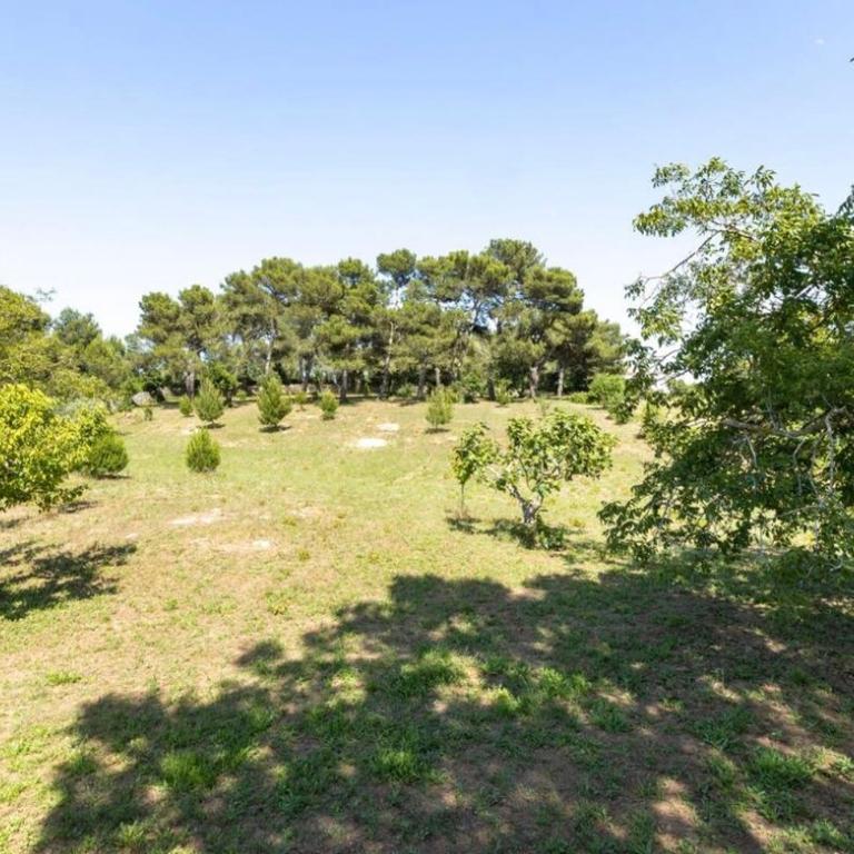 Il trullo DG - Two-Bedroom Villa - 16