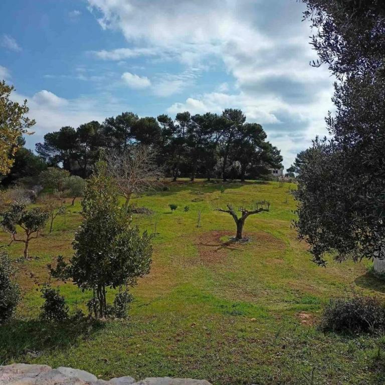 Il trullo DG - Two-Bedroom Villa - 29