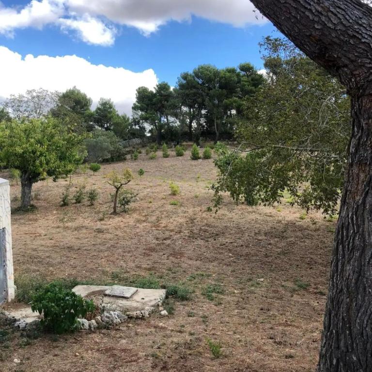 Il trullo DG - Two-Bedroom Villa - 28