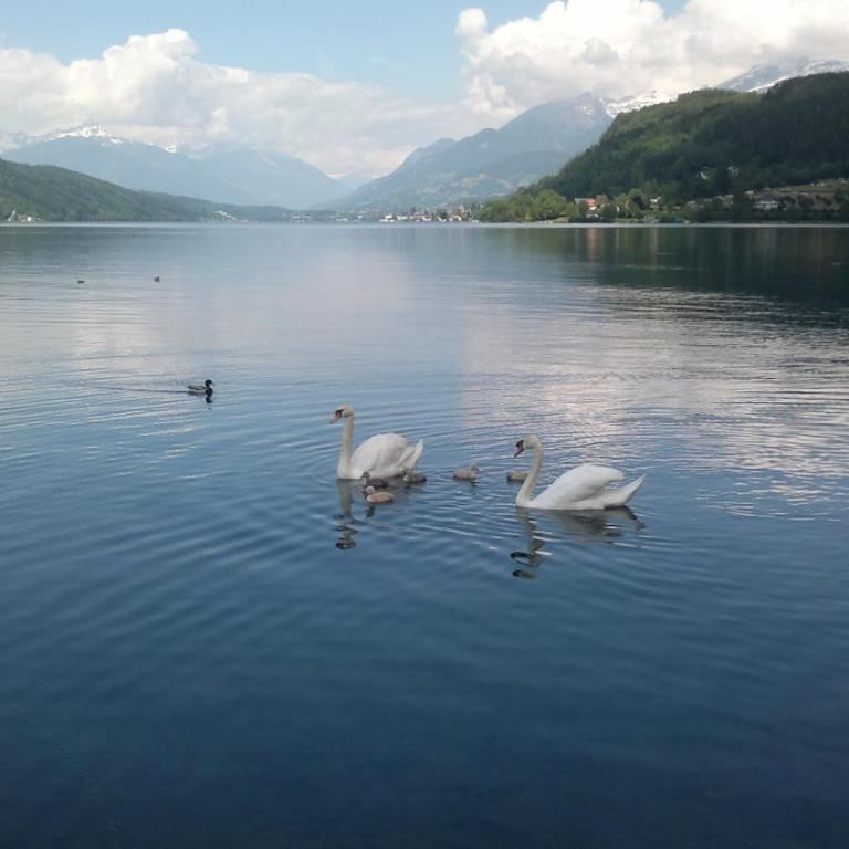 Ferienwohnungen Fischerhaus - direkt am See - Familienapartment mit Seeblick. - 57