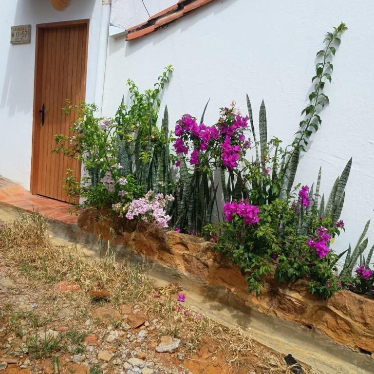 Apartamento en el mirador - Apartamento de 3 dormitorios con vistas a las montañas - 1