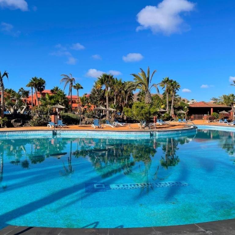 Corralejo Oasis Tamarindo Poppins Pool e Terrace - One-Bedroom Apartment - 32