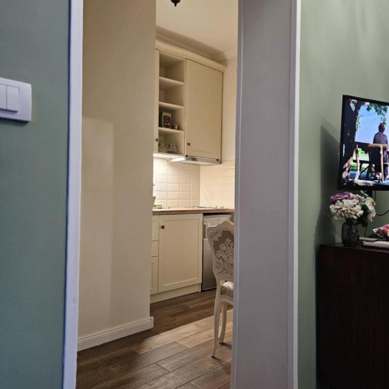 Studio Suzi - Apartman sa 1 Spavaćom Sobom - 11