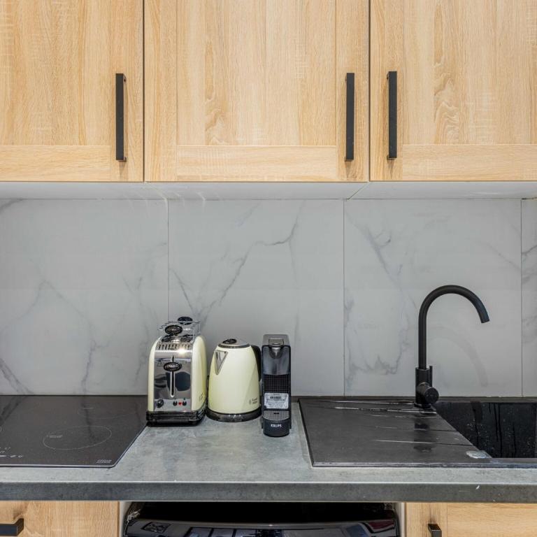Superb appt 1BDR 4P - Victor Hugo - Appartement 1 Chambre - 13