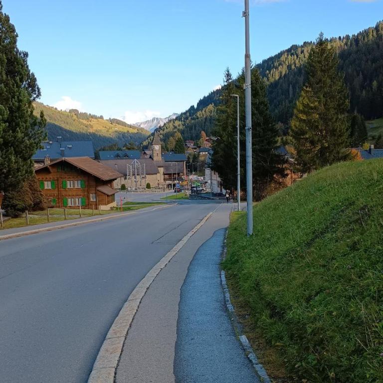 Studio appartement avec piscine, ski Porte du soleil Morgins, PS3 games, wash & bring sheets - Studio mit Schlafsofa - 24