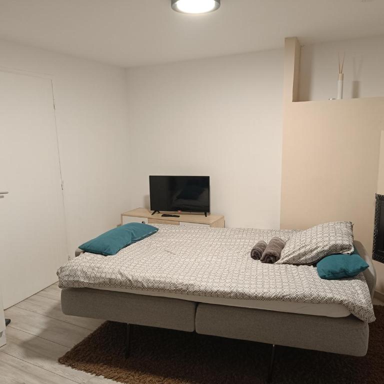 Un bon momentde dente - Appartement 1 Chambre - 4