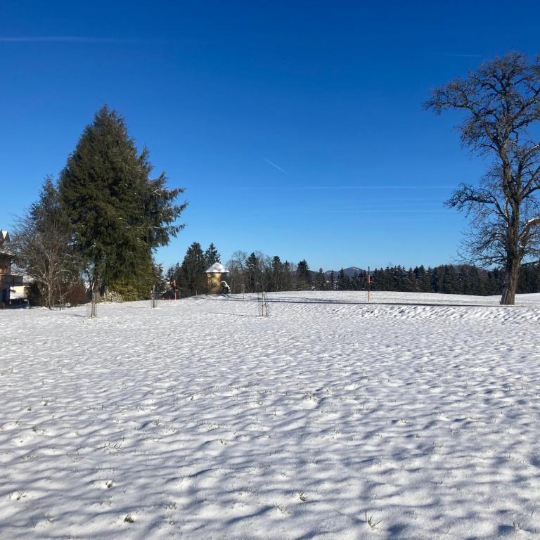 Obereggut - Deluxe Apartment mit 2 Schlafzimmern und Gartenblick - 25