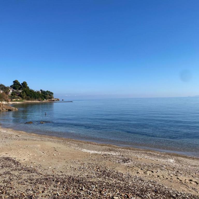 Casa sul mare Lalu a 20 kl da Palermo e 30 da Cefalu tre camere 9 posti - Haus mit 2 Schlafzimmern - 2