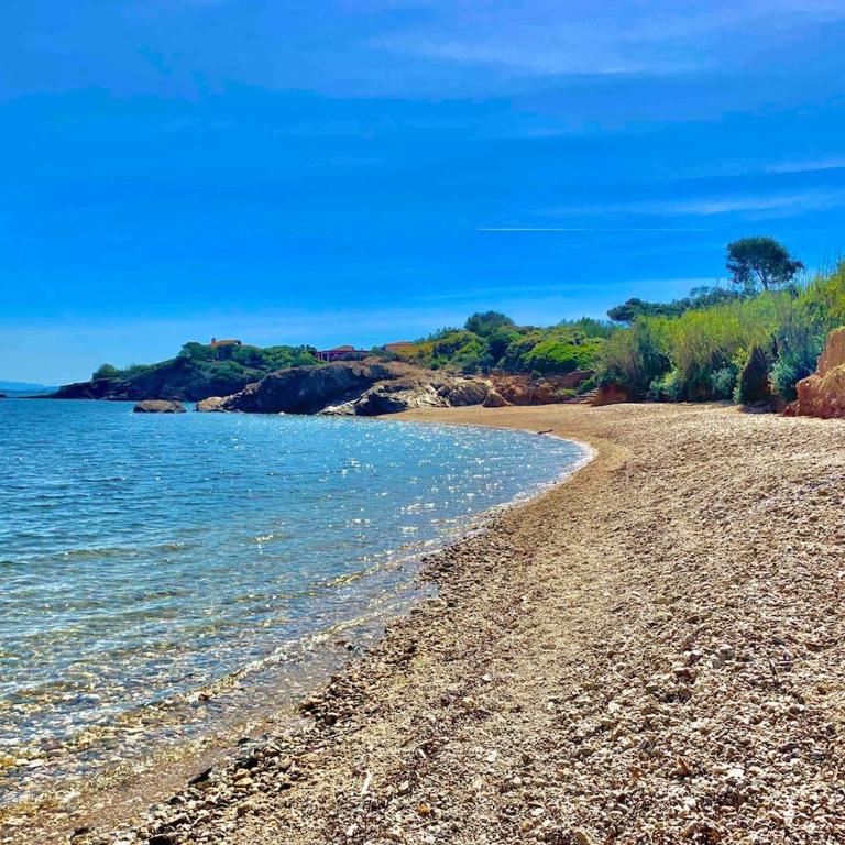 T2 climatisé avec terrasse & parking Plage à pied 5min Presqu ile de Giens - Apartment mit 1 Schlafzimmer - 23