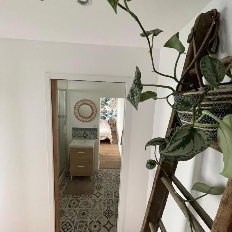 - Chez nous - - Appartement 2 Chambres - 6