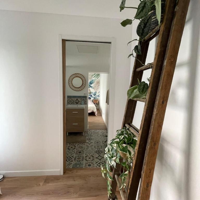 - Chez nous - - Appartement 2 Chambres - 11