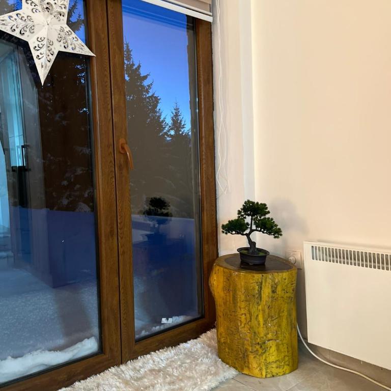 Apartman Vučko - Apartman sa 1 Spavaćom Sobom - 2