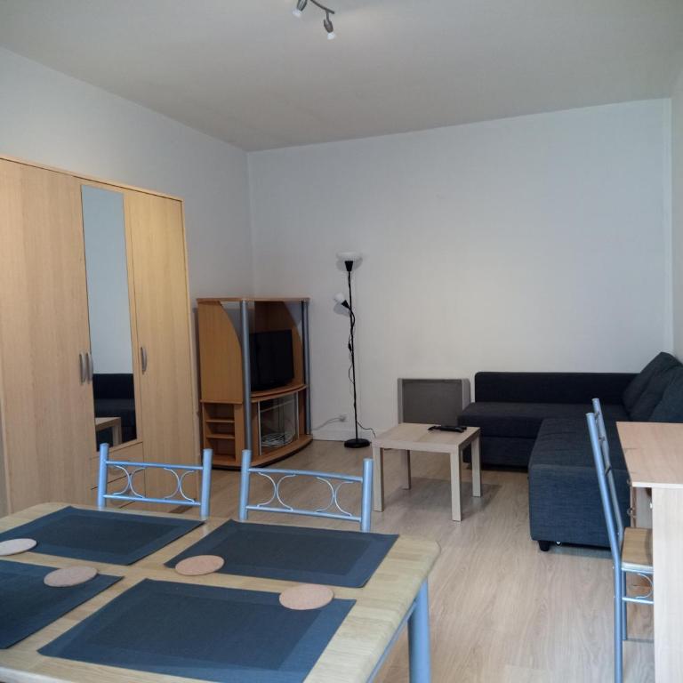 Grand Appartement T1 Entièrement Meublé - Standard Apartment - 1