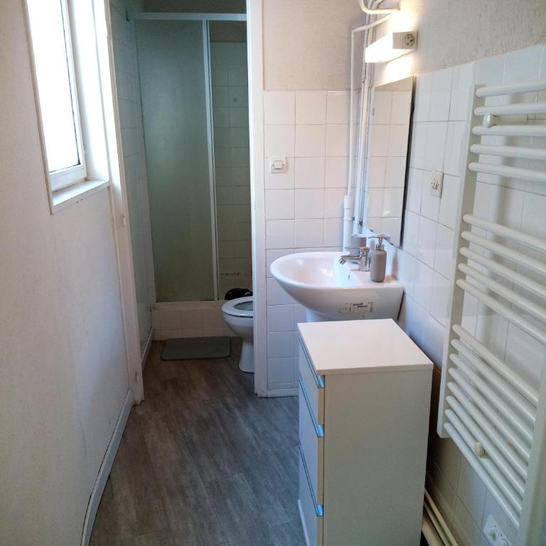 Grand Appartement T1 Entièrement Meublé - Standard Apartment - 2