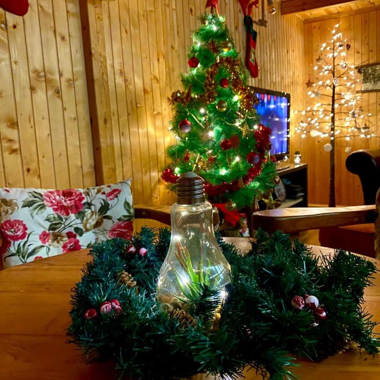 Durmitor's sun cottages - Three-Bedroom House - 44