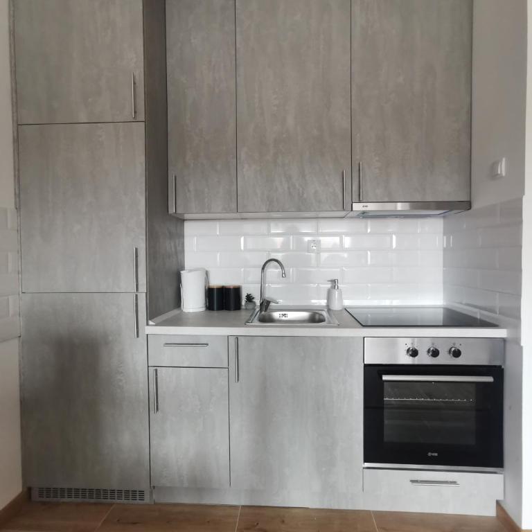 Downtown apartment - One-Bedroom Apartment - 4