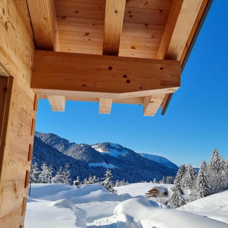Alpenflair-Chalets-Balderschwang - Chalet mit 1 Schlafzimmer - 2
