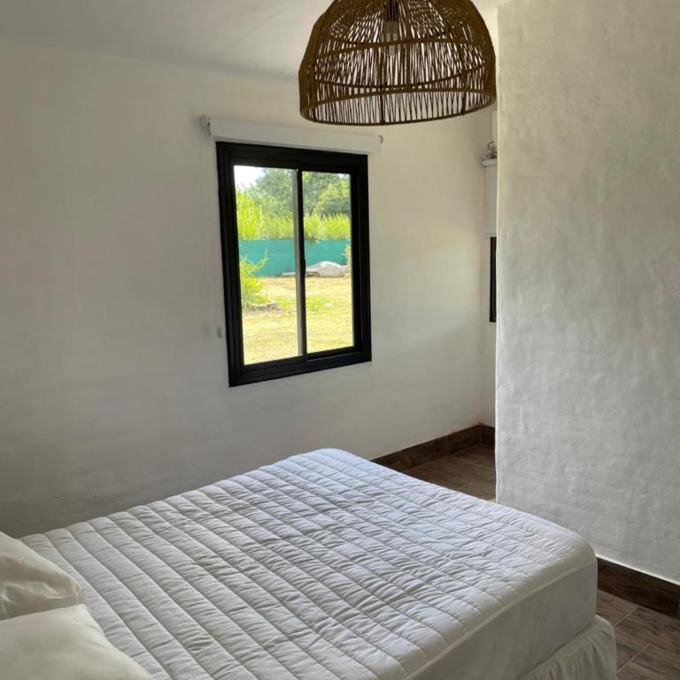 Casa calma - Apartamento de 2 dormitorios - 17