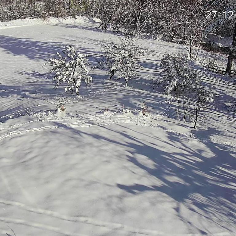 Jahorina Shack - Vacation Home - 2