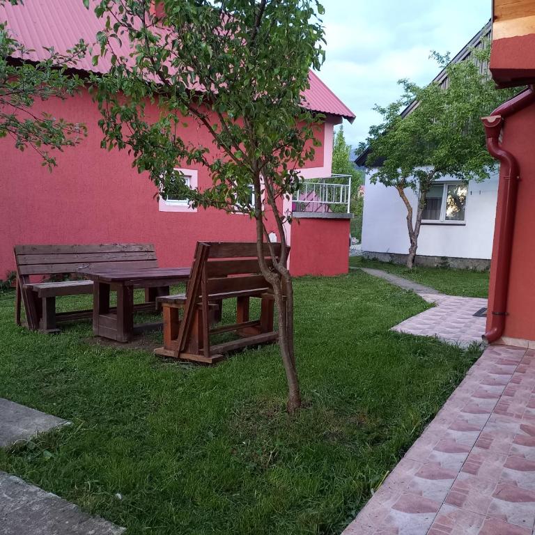 Apartman Rakocevic - One-Bedroom Apartment - 21