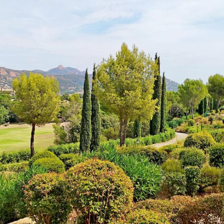Appartement rez de jardin 4 personnes CAP ESTEREL - Appartamento con 1 Camera da Letto e Terrazza - 13