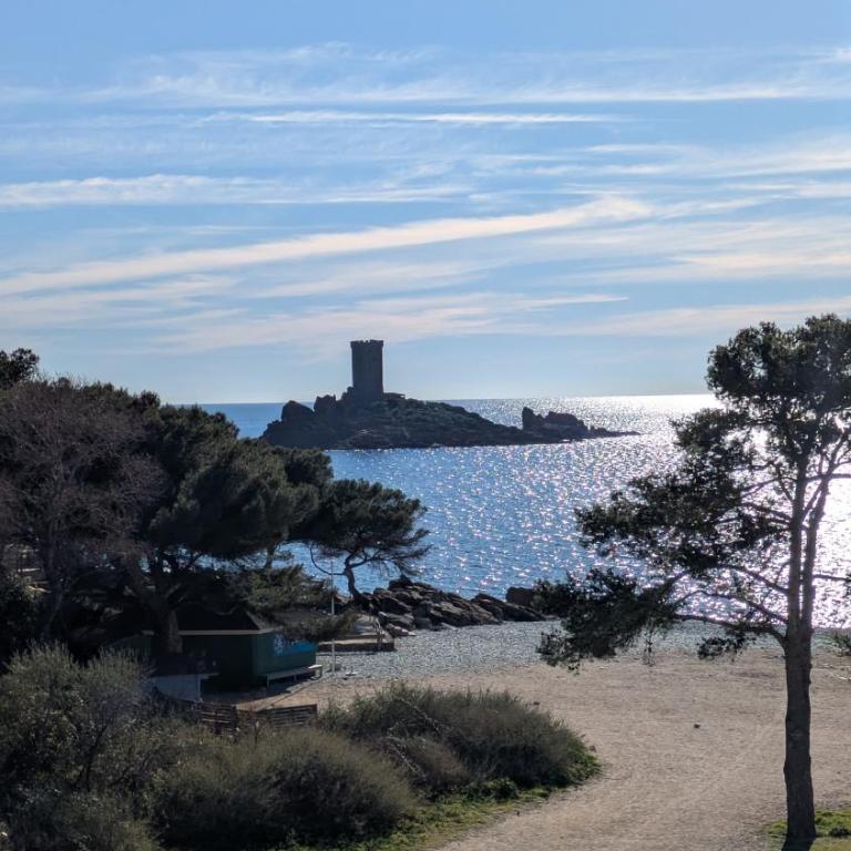 Appartement rez de jardin 4 personnes CAP ESTEREL - Appartamento con 1 Camera da Letto e Terrazza - 14