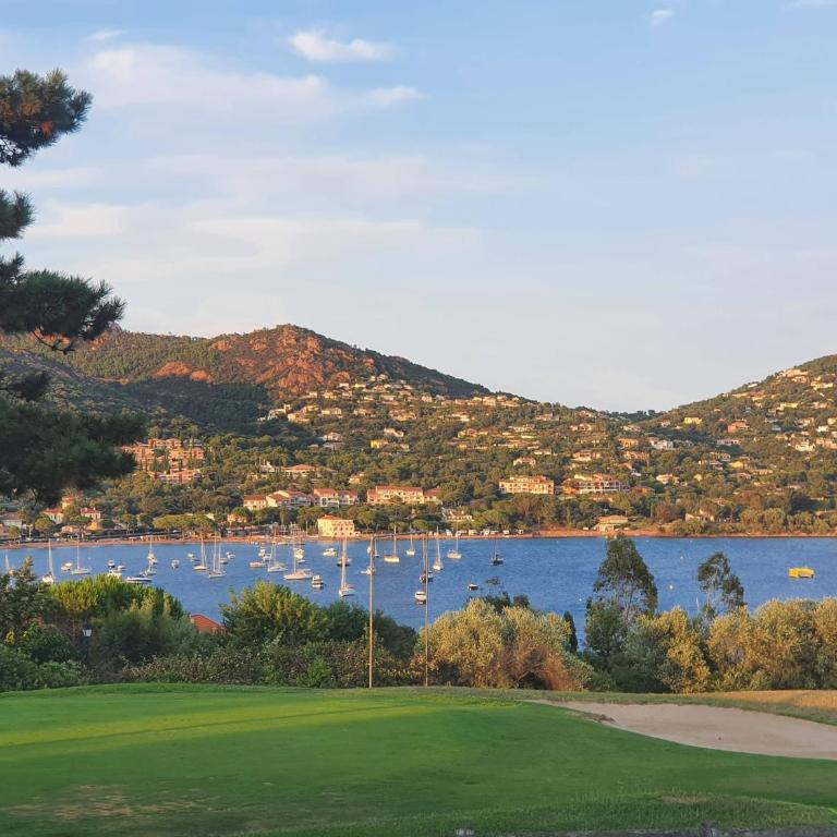 Appartement rez de jardin 4 personnes CAP ESTEREL - Appartamento con 1 Camera da Letto e Terrazza - 24