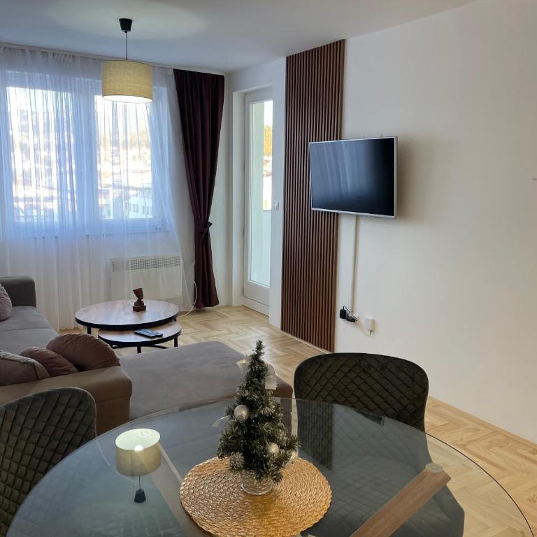 Apartman Centar G1 - Apartman sa 1 Spavaćom Sobom - 1