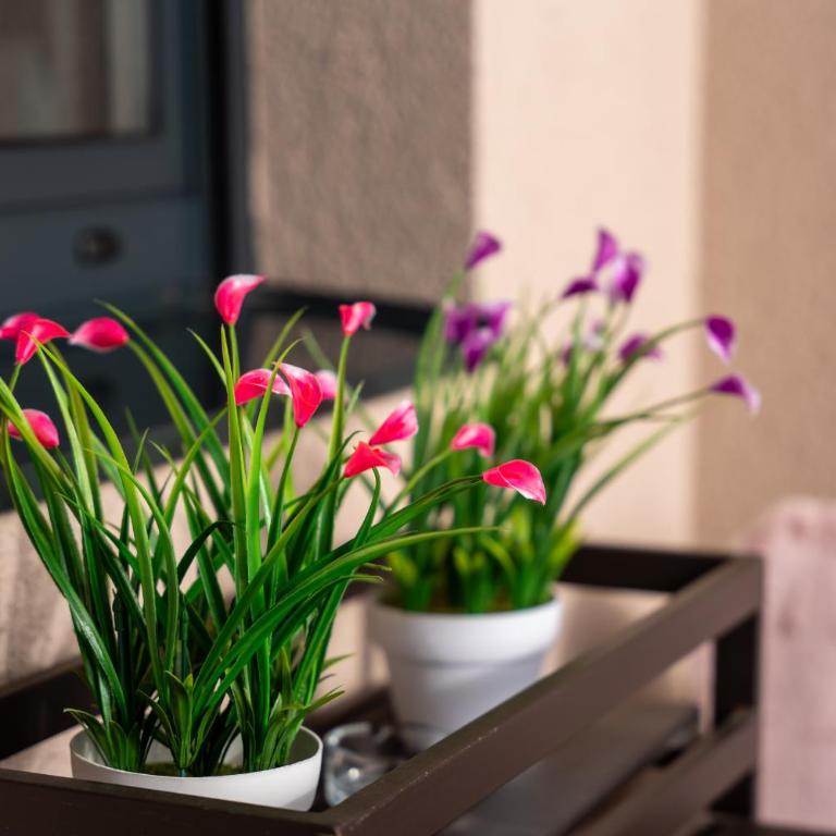 Anja Central Residence - Apartman sa 1 Spavaćom Sobom, Balkonom i Pogledom na Planinu - 55
