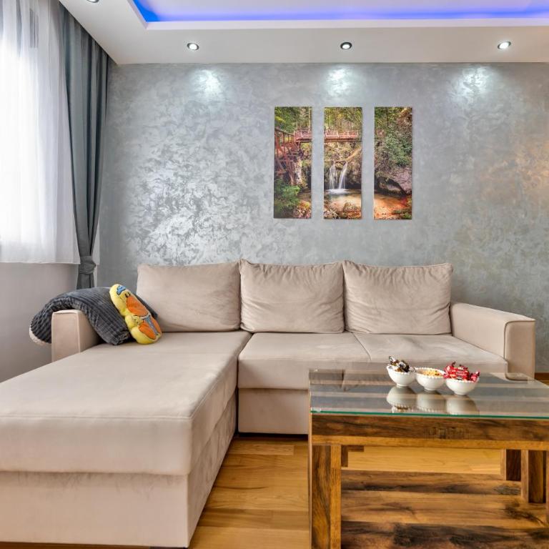 Anja Central Residence - Apartman sa 1 Spavaćom Sobom, Balkonom i Pogledom na Planinu - 15
