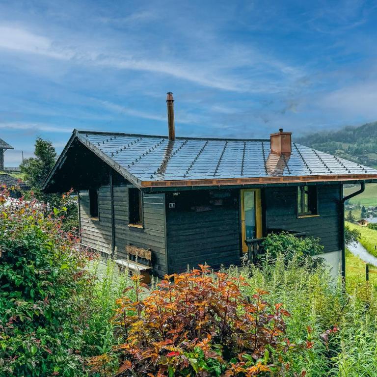 Chalet Gletscherliechtli - Chalet mit 1 Schlafzimmer - 1
