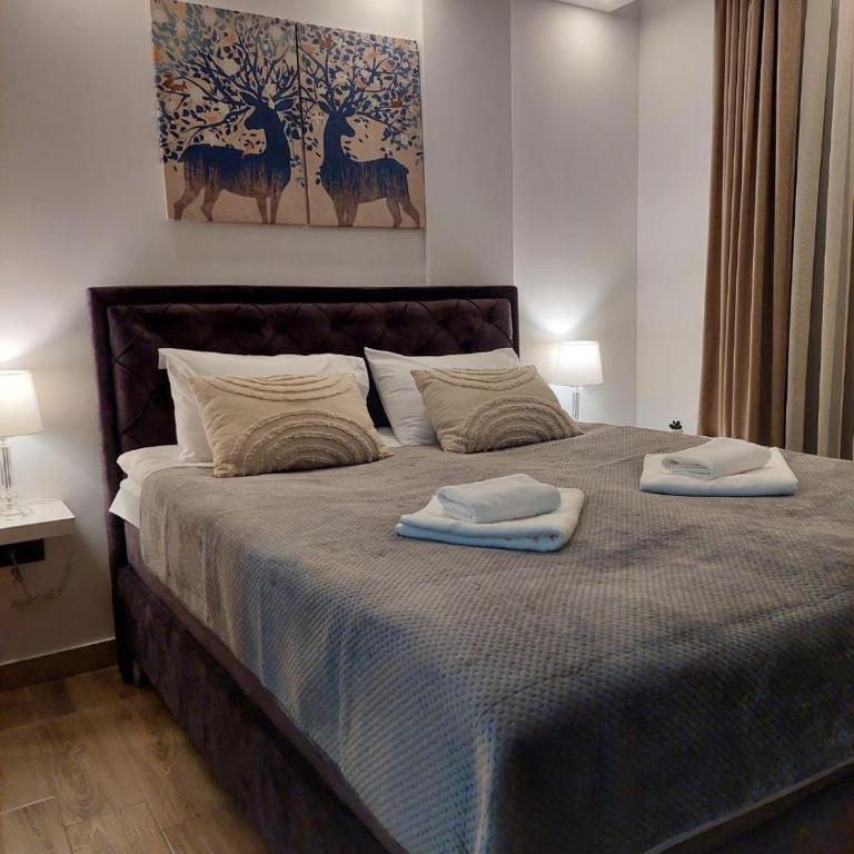 Kopaonik Lux Resident Hill Apartman A39 - One-Bedroom Apartment - 9