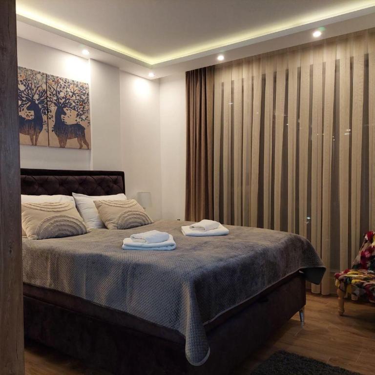 Kopaonik Lux Resident Hill Apartman A39 - One-Bedroom Apartment - 11