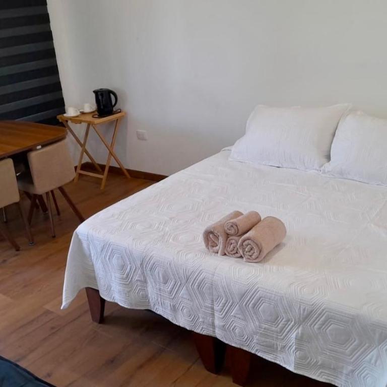 Departamento un ambiente centro Puchuncaví - Apartamento de 1 dormitorio - 2